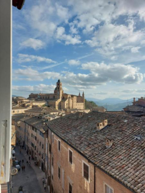 Il cielo di Raffaello Urbino